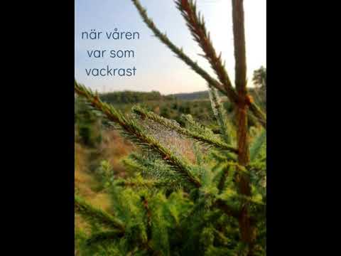 VI HÅLLER UT Iréne Jönsson Båstad SÅNG svensk text Ingela Pling Forsman