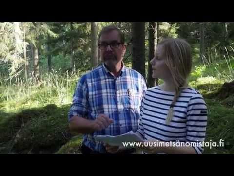 UPM Uusi metsänomistaja - Metsänuudistaminen