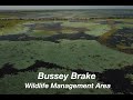 Bussey Brake Opening