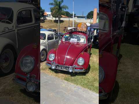 12 Encontro de Carros Antigos de Terra Boa - PR