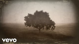T Bone Burnett - Waiting For You (Ft Lucius) video