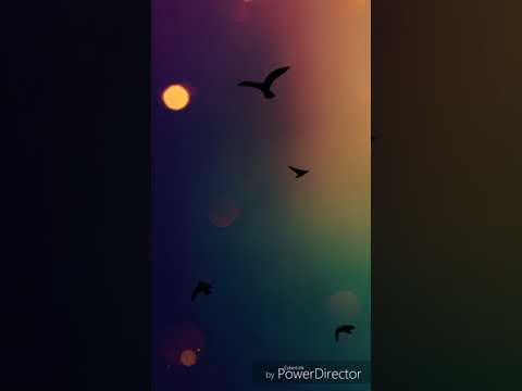 Spieluhr - Weißt du wie viel Sternlein stehen