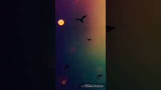 Spieluhr - Weißt du wie viel Sternlein stehen