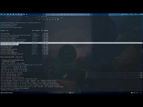 ArcoLinux : 2907 Can I add repos from different sources? Will I stay safe? Pamac does not install???