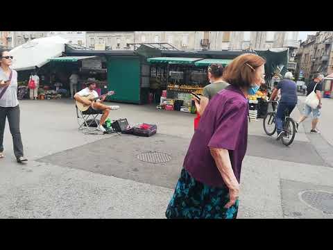 Ostala je pesma moja - Vida Pavlović