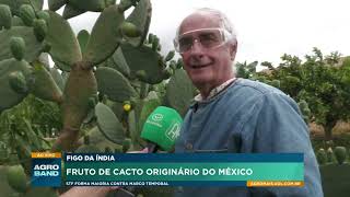 Miniatura do vídeo