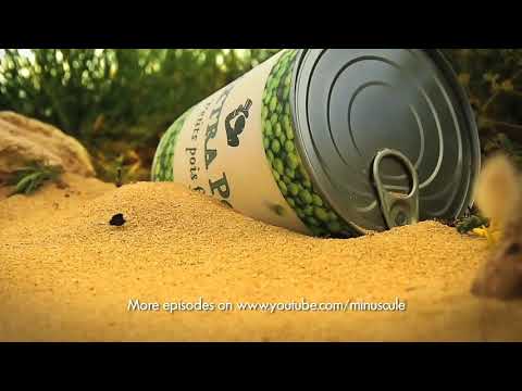 Minuscule:- Spider 's Pea Supper