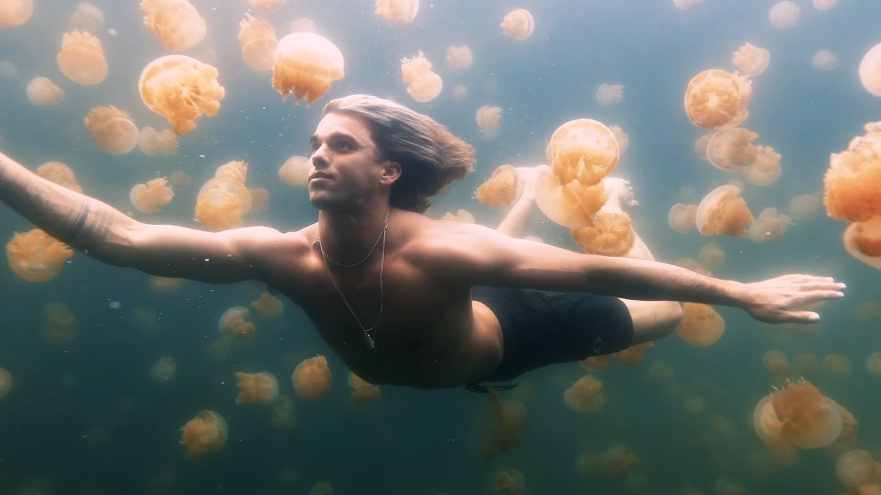 Sam Feldt & The Him ft. GoldFord — Use Your Love (Starring Jay Alvarrez)