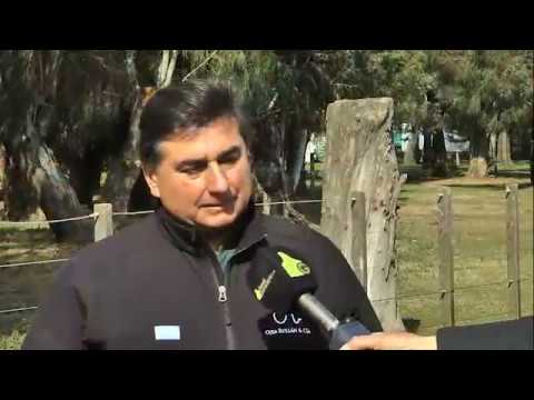 Entrevista Carlos Ojea en Cabaña Las Blancas (3/4)