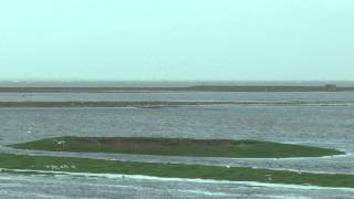 preview picture of video 'Spectaculaire storm: overstroming zomerdijk bij Marrum'