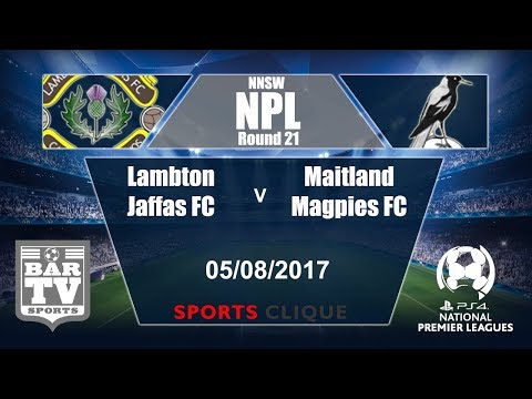 2017 NNSW NPL Round 21 - Lambton Jaffas v Maitland Magpies