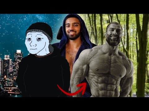 From Jeffery To Adonis