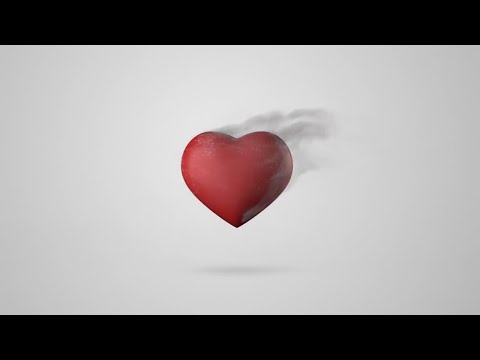 Konflikte lösen – Segen erleben – CD/DVD von Bayless Conley