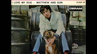 Cat Stevens   I love my dog