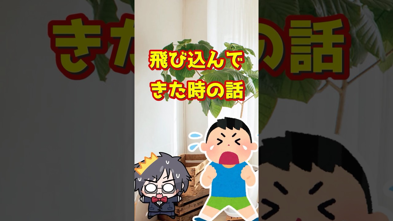 子供が泣きながら飛び込んできた！！