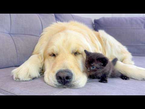 YouTube 썸네일