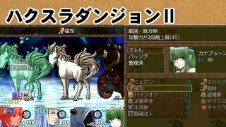 【ハクスラダンジョンⅡ実況プレイ第三部 Part5】願い事を叶えるアレを掴む旅