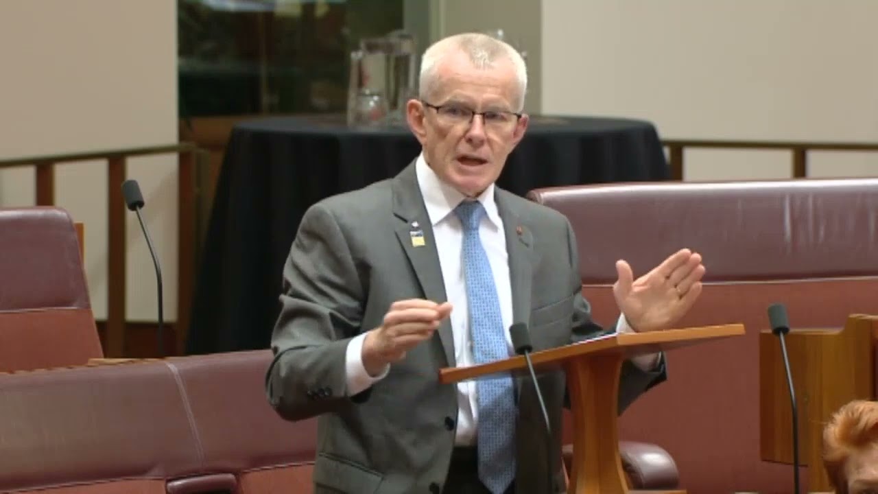 One Nation Calls for Inquiry into Unsustainable Immigration