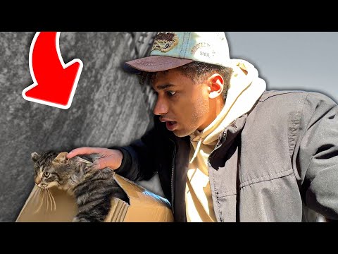 I saved an abandoned kitten who was about to die...😭