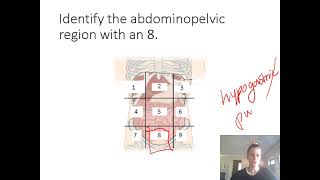 Practice Lab Practical 1 for A&P I