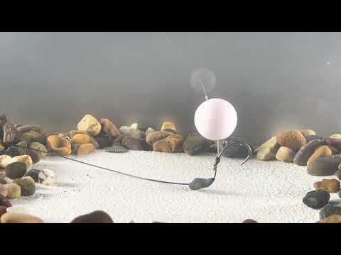 E.L.S. Rig test, krank rig.