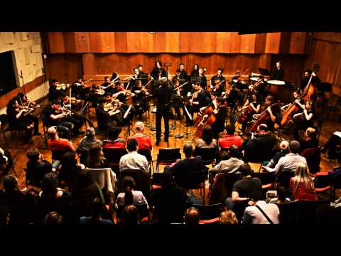 The Young Northen Chamber Orchestra (Zvi Carmeli, conductor)