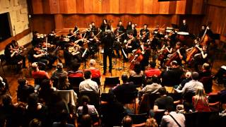 The Young Northen Chamber Orchestra (Zvi Carmeli, conductor)