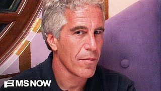 'He made sure you knew he owned everybody – banks, the government': Epstein survivor