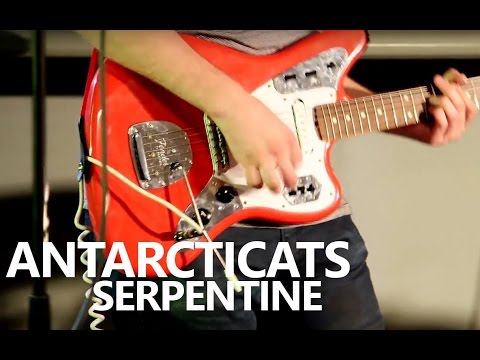 Antarcticats - Serpentine (Official Video)