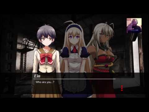 Camsurf, omegal, chat alternative all use the same servers!!!