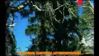 Download lagu Almunsyidin Ya Asyiqol musthofa mp3