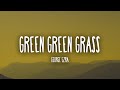 George Ezra Green Green Grass Lyrics