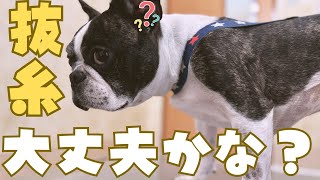 これで少しは落ち着きそう😭
