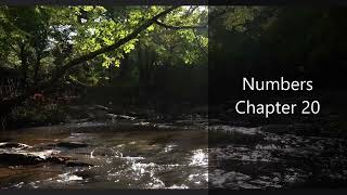 The Book of Numbers Chapter 20 - New King James Version (NKJV) - Audio Bible