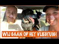 Lilly en Scotty gaan naar Nederland | DierenpraatTV