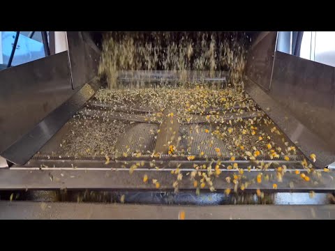 The completely automatized chamomile processing line
