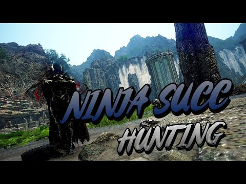 검은사막 전승닌자 님파마레 성 사냥ㅣBDO Succession Ninja Nymphare Castle Hunt
