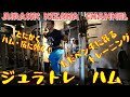 とにかく簡単にハム尻に効く!! ジュラシック一押しの種目 必見です!