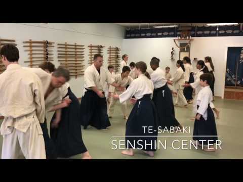 Aikido at Senshin Center