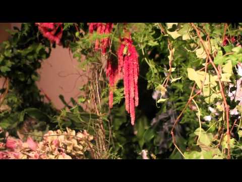 ELKA'S GARDEN at RAW:Wollongong presents PIXELS 31/01/14