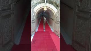 Download lagu live maa vaishno devi. darshan mp3 Download lagu live maa vaishno devi. darshan mp3