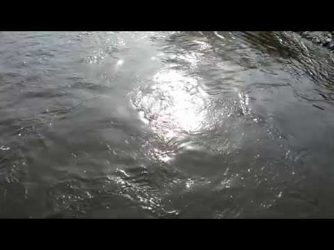 Laval's (Quebec) Bigras Islet