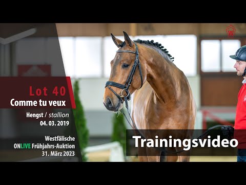 ONLIVE Frühjahrs-Auktion Training Lot 40 Comme tu veux Hengst v. Comme il faut NRW - C-Indoctro