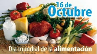 Dia Mundial de la Alimentacion Dia Mundial de la Alimentacion