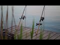 Fishing Fish Fisherman Free Public Domain Video
