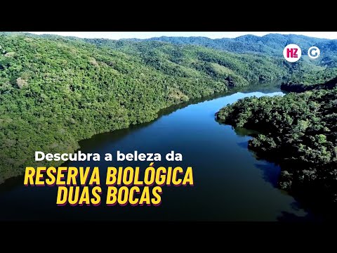 Descubra a beleza da Reserva Biológica Duas Bocas!