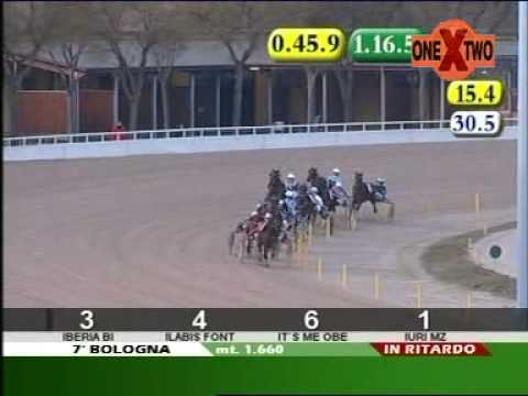 Ilabis Font am Samstag, 9.2.08, 1. im PREMIO PIANTO ANTICO i