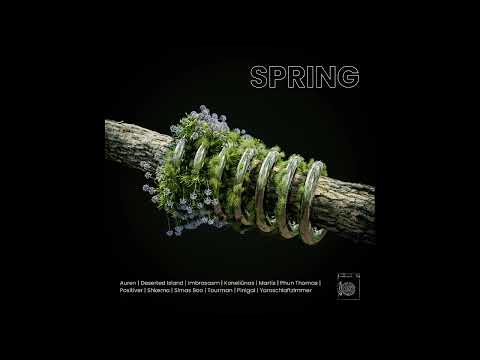 PREMIERE: Pinigai - Pasiskambinam [Skalbianke]