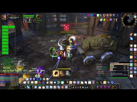 Rofflecake Prot Paladin Karazhan Clear