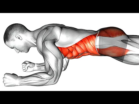 DESAFIO DE TREINO DE PRANCHA PARA PERDER GORDURA DA BARRIGA EM 10 DIAS - VIDA SAUDÁVEL -FITNESS CASA